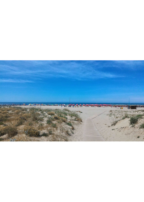 Appartamento Sereno sul mare in Toscana Torre del Lago