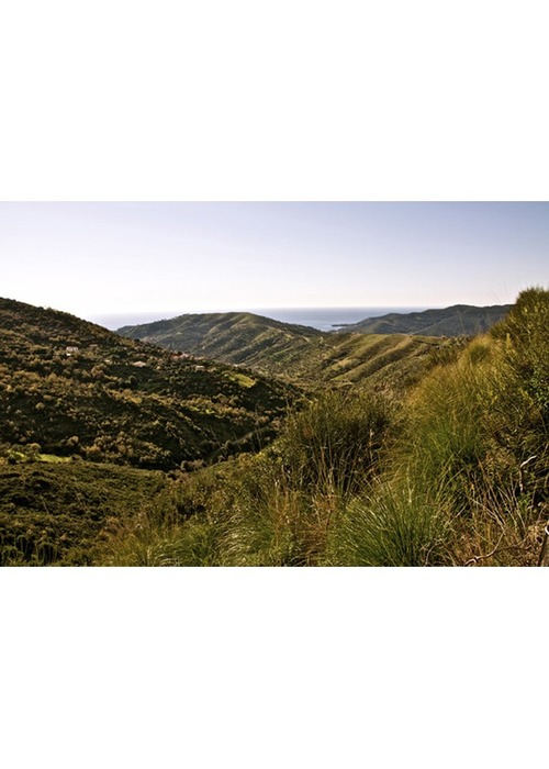 Splendida azienda agricola biologica